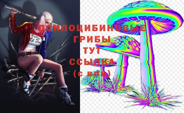 PSILOCYBIN Алексин