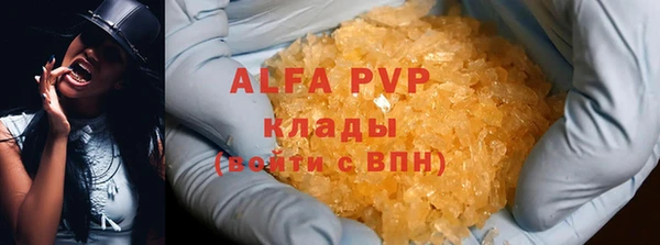 крисы Алзамай